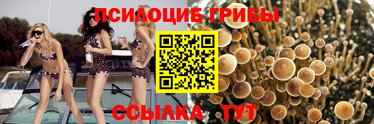 Краснокаменск  Галлюциногенные грибы мухоморы  Вход с VPN 
